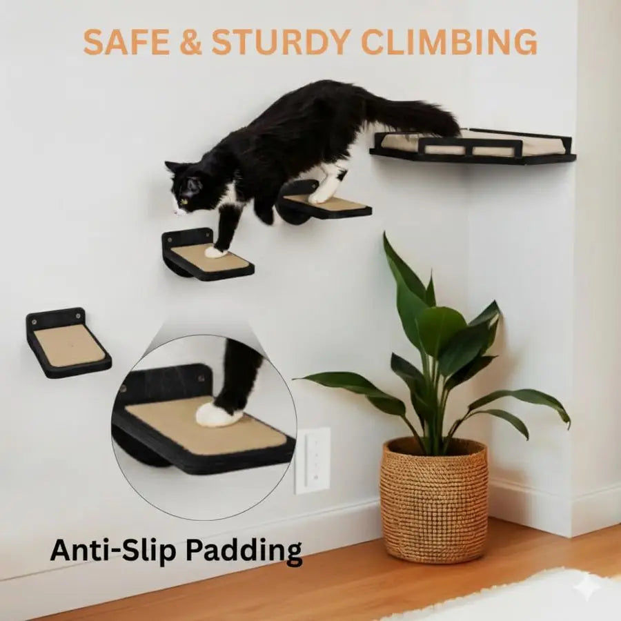 Cat Wall Shelves Modern and Durable 3 Step Cat Furniture for Wall Stylish Birch Floating Shelf for Cats up to 15lbs Wooden Corne
