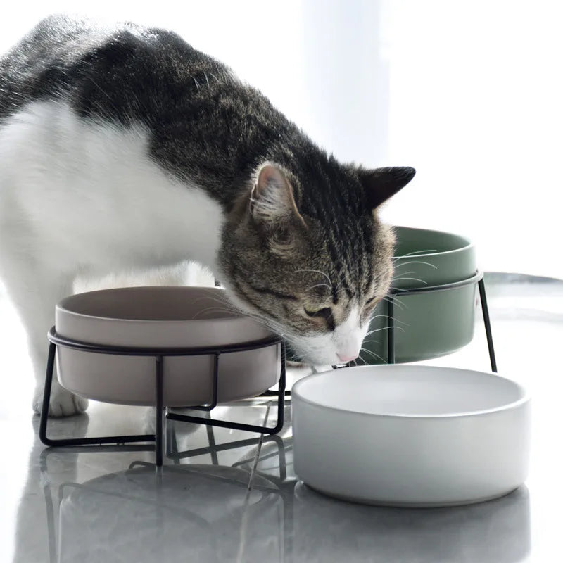 Double Cat Food Water Bowls with Stand Ceramic Pet Feeding Accessories Cats Small Dogs Eat Drink Supplies Puppy Feeder Bowl