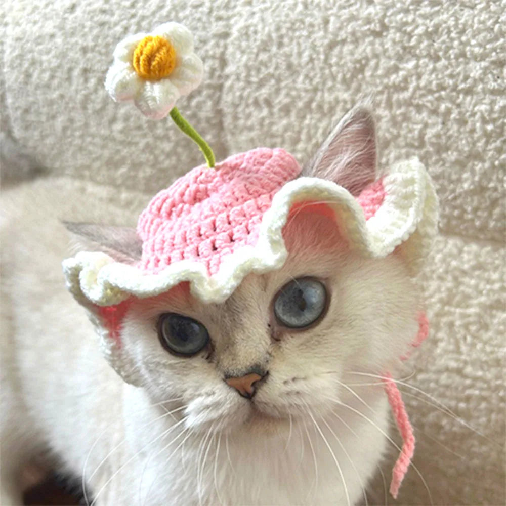 Pet Costume Hats Cat Dog Cartoon Headband Crochet Hat Knitted Cap Big Eye Frog Christmas Party Cosplay for Kitten Puppy Birthday