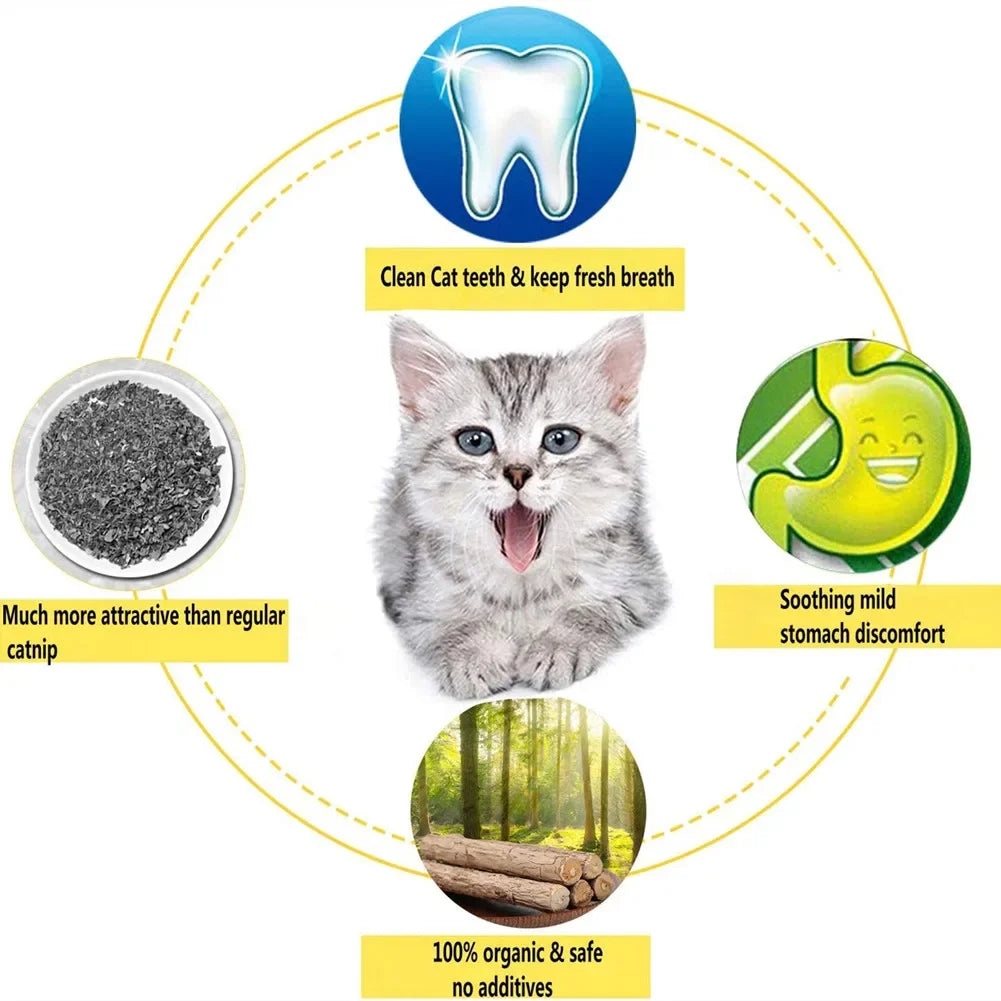 15pcs Natural Matatabi Cat Catnip Toy Kitten Molar Chew Stick Pet Cleaning Teeth Cat Treat Toy Actinidia Silvervine Pet Products