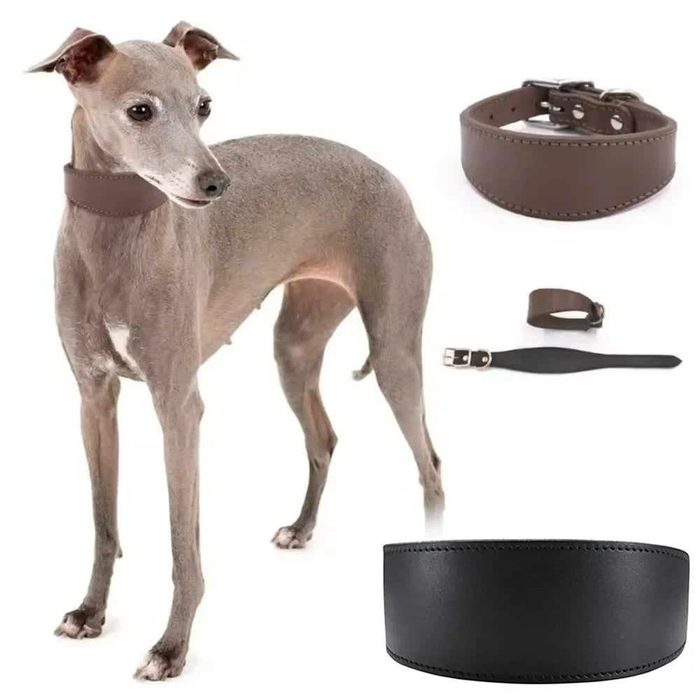 Quality Cow Leather Greyhound Dog Collar Comfortable Wide Whippet Necklace Durable Pitbull Pet Accessories Heavy Duty For Dogs