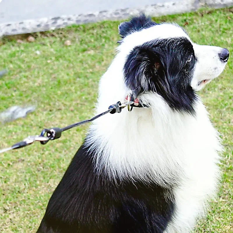 Dog Leash Extend Leashes 45cm Anti-bite Dogs Leashes Stainless Steel Wire Rope Leash for Dog Walking Dogs Chain Pet Accessories
