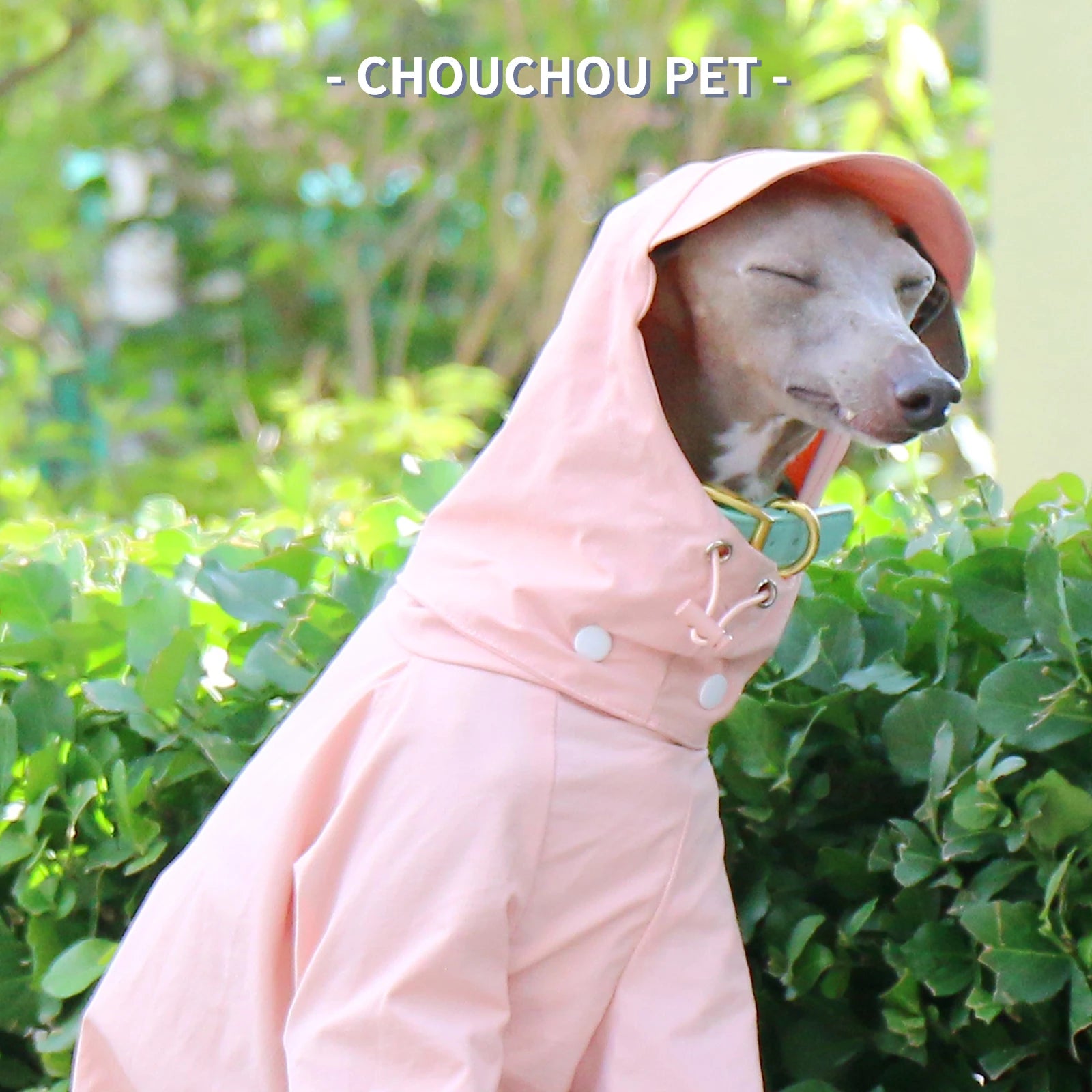 Italian Greyhound Whippet pet clothes for autumn outdoor sun protection, wind and rain protection with detachable hat for dog