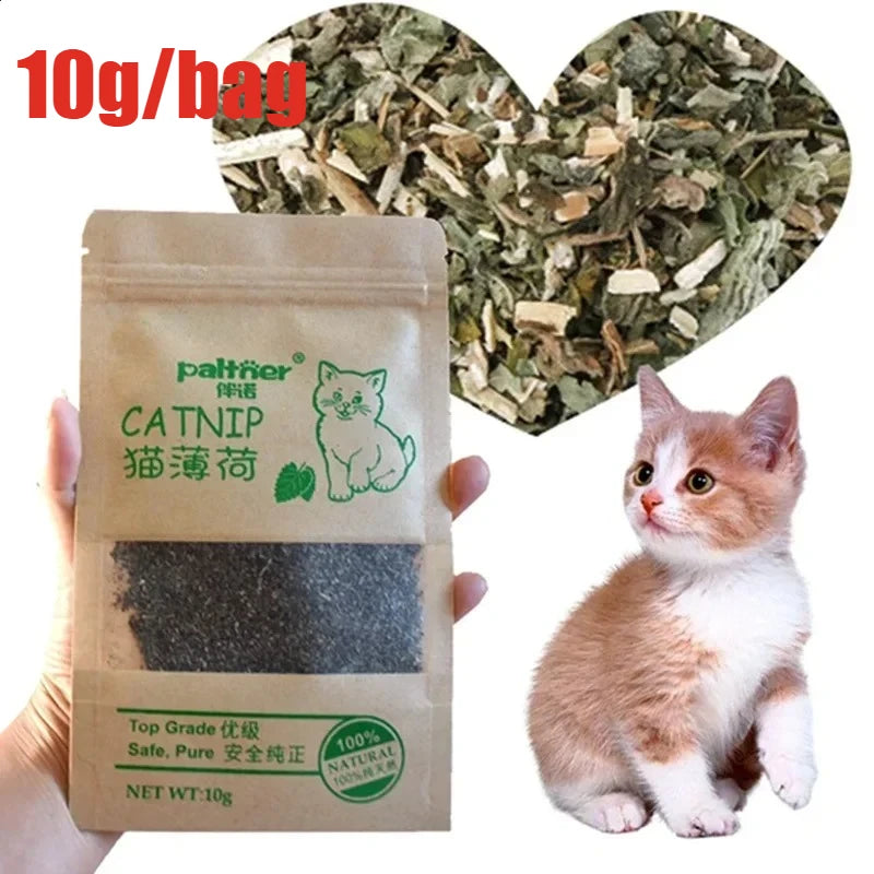 Natural Premium Catnip Cattle Grass Interactive Cat Non-toxic 10g Menthol Flavor Funny Cat Supplies Keep Pet Health Cat Toy