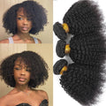4C Afro Kinky Curly Virgin Brazilian Human Hair Weft Extensions Bundle for African Black Women Weaving Hair