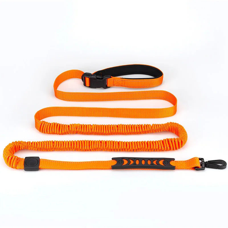 High Qulity Retractable Hands Free Dog Leash For Running Dual Handle Bungee Leash Reflective For Large Pet Supplies Accessory
