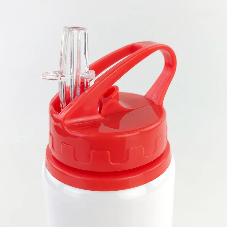 600ML Blank Bottle with Straw for Sublimation Print