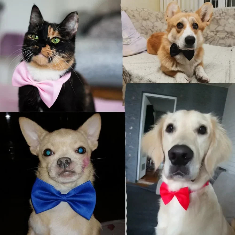 1pcs Pet Necklace Adjustable Strap Puppy Necktie Bow Ties Dog Cats Collar Grooming Supplies Accessories dieren benodigheden hond