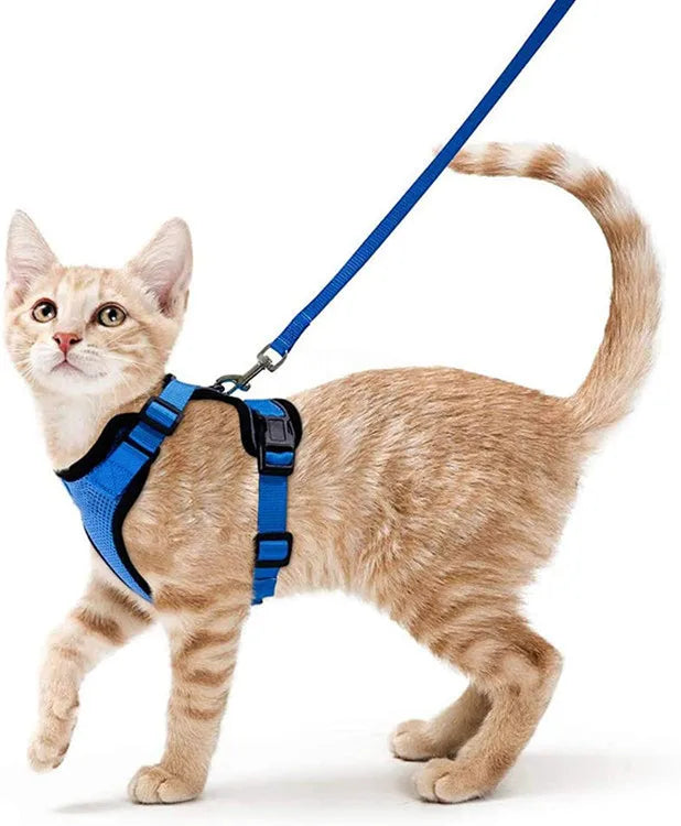 Cat Harness Lead Leash Set Walking Training Escape Proof Adjustable Reflective Pet Vest Harness Kitten Collar Pet Supplies