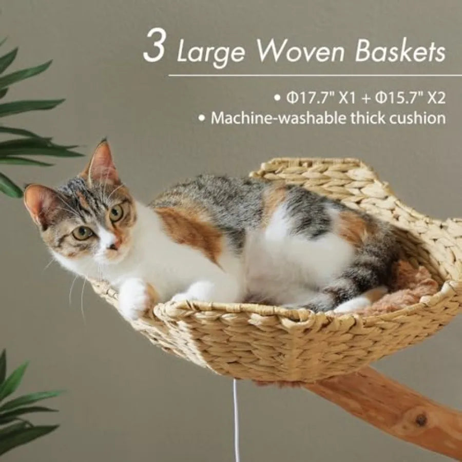 Large Cat Tree for Indoor Cats 59 Inches Modern Furniture with 3 Large Baskets Natural Solid Wood Luxury Condo and Hammock Brow