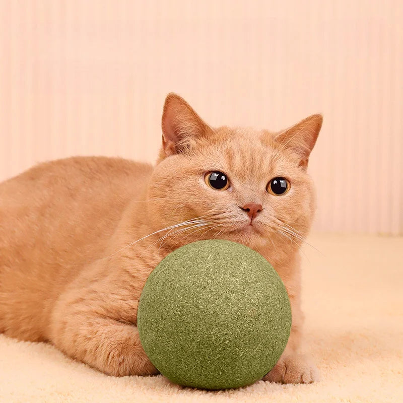Extra-large 10CM Catnip Balls Galls Fruit Balls Self-amusement and Stress Relief Catnip toy for Grinding Teeth Large Mint Ball