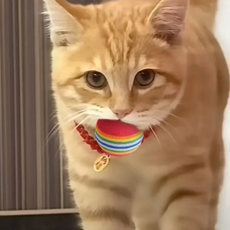 100/10PCS Pet Toy Balls Interactive Rainbow EVA Balls Cat Dog Training Toys Soft Automatic Jumping Balls Pet Playing Supplies