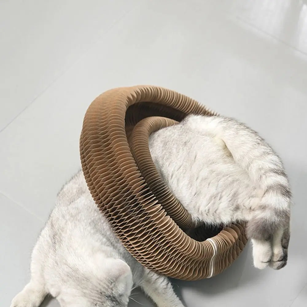 Transformable Kitty Kurlz Cat Toy Wear-Resistant No Crumbs Cat Scratching Board Resistant To Scratching Cat Scratcher