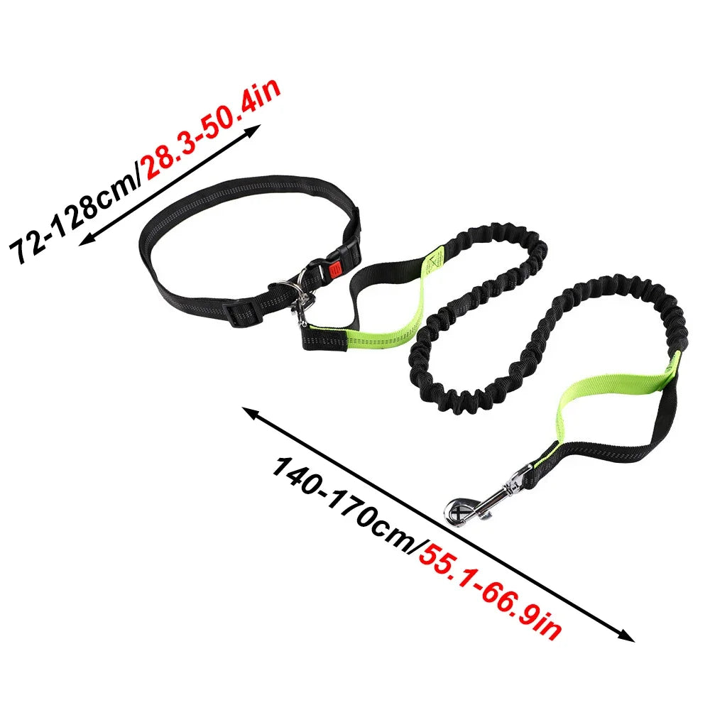 1pc Hands-Free Pet Dog Leash Stretch Running Leash with Handle & Strong Bungees Adjustable Waist Belt for Walking Jogging Hiking