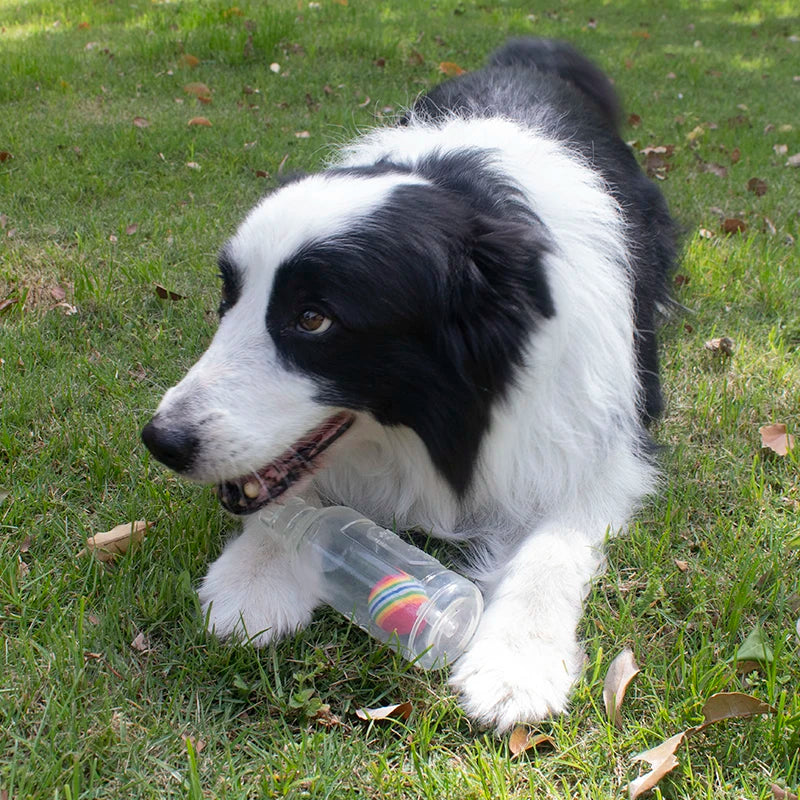 Pet Dog Chewing Toy Beer Bottle With Tennis Ball Dog Toy Squeak Pet Toy TPR Bite-resistance Dogs Funny Toy Pet Supplies