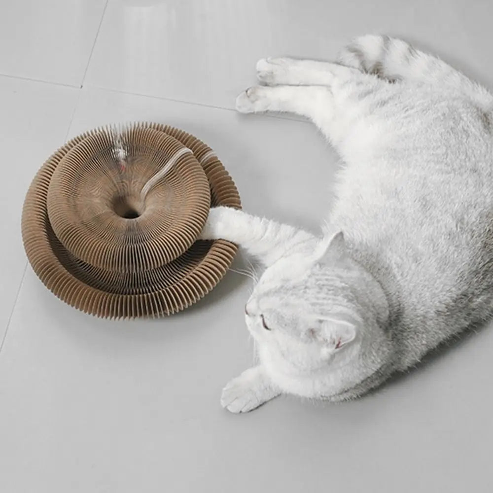 Transformable Kitty Kurlz Cat Toy Wear-Resistant No Crumbs Cat Scratching Board Resistant To Scratching Cat Scratcher