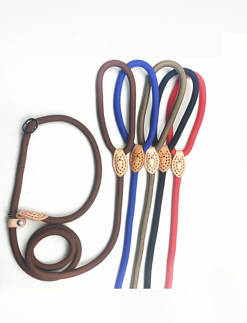 New style Dog Leash Slip Rope Lead Leash Heavy Duty Braided Rope Adjustable Loop Collar Training Leashes for Medium Large Dogs
