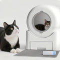 Self-Cleaning Cat Litter Box Automatic - 64L Large Capacity W/ FREE Waste Bags & TrackingMat, Smart APP-Controlled Odor-Free Des