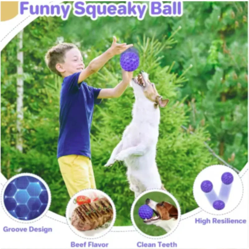 Indestructible Interactive Rubber Ball Dog Chewing Toy for Small Medium Large Breeds Pet Tooth Cleaning Fun Accessory