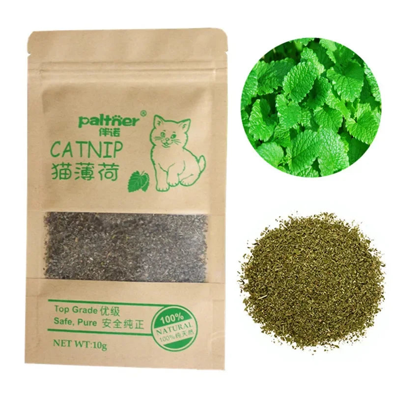 Natural Premium Catnip Cattle Grass Interactive Cat Non-toxic 10g Menthol Flavor Funny Cat Supplies Keep Pet Health Cat Toy