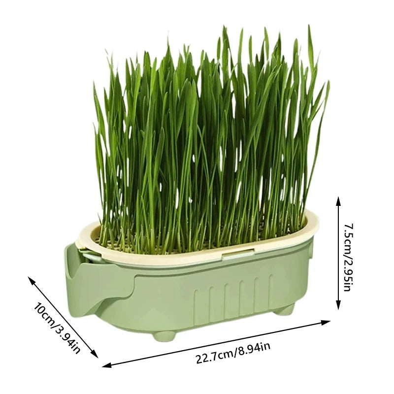 Organic Cat Grass Planter Kit Hairball Relief Natural Digestive Aid Grow Your Own Cat Grass Bowl Set Not Include Seed