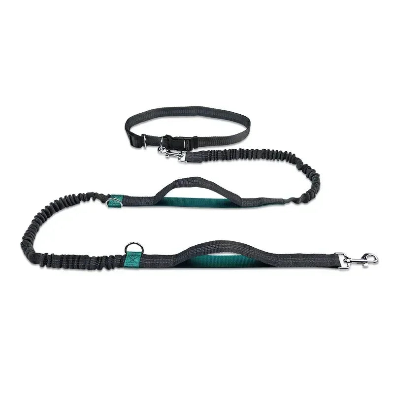 Dog Walking Belt, Traction Rope, Reflective, Explosion-proof, and Elastic At Night Running and Walking Dogs with Ease Dog Leash