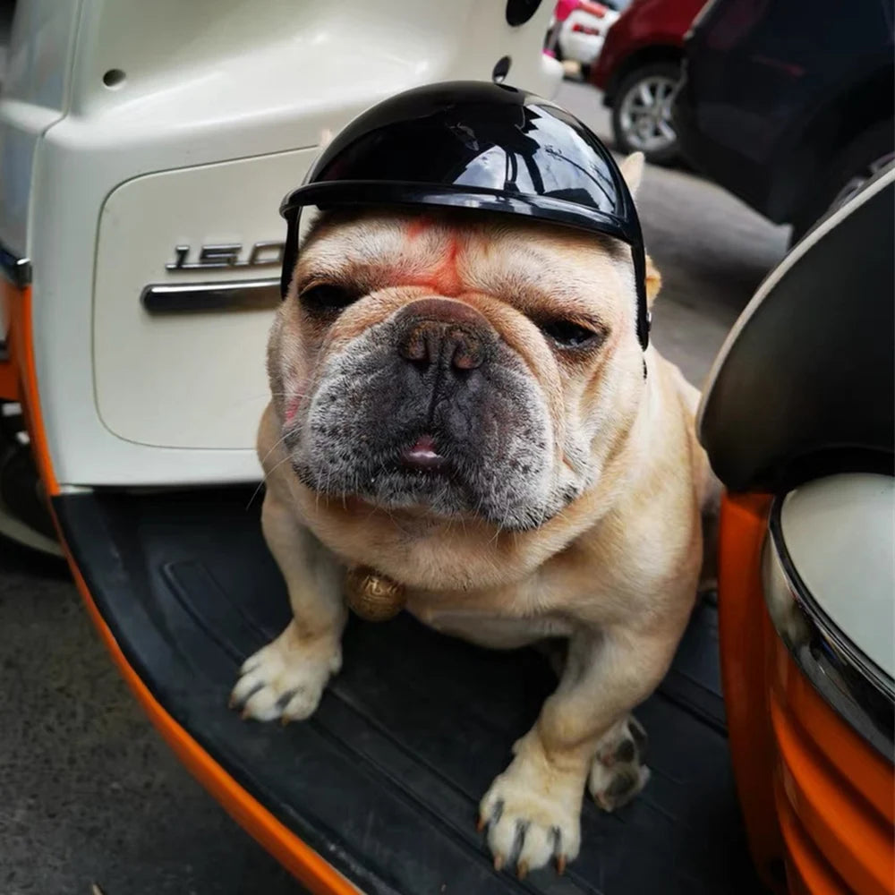 Cool Pet Dog Safety Helmet for Small Medium Dogs French Bulldog Doberman Pinscher Adjustable Motorcycle Helmets Pet Accessories