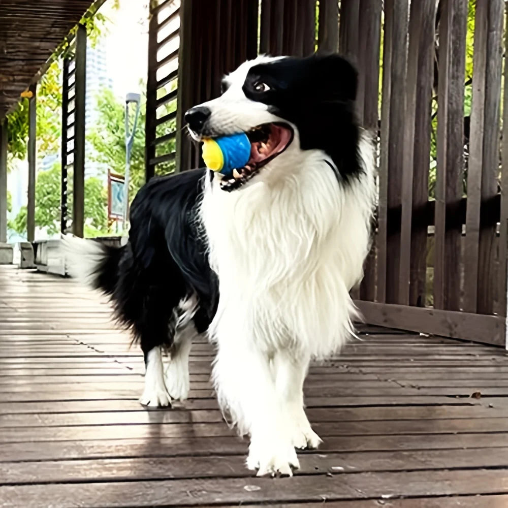 1pc Dog Toy Durable Crew Ball Pet Grinding Teeth Toy For Dog Interactive Supplies Chew Pet Supplies