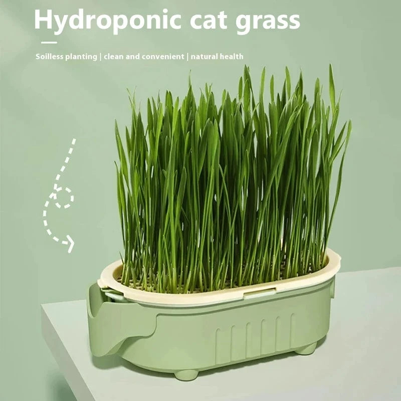 Organic Cat Grass Planter Kit Hairball Relief Natural Digestive Aid Grow Your Own Cat Grass Bowl Set Not Include Seed