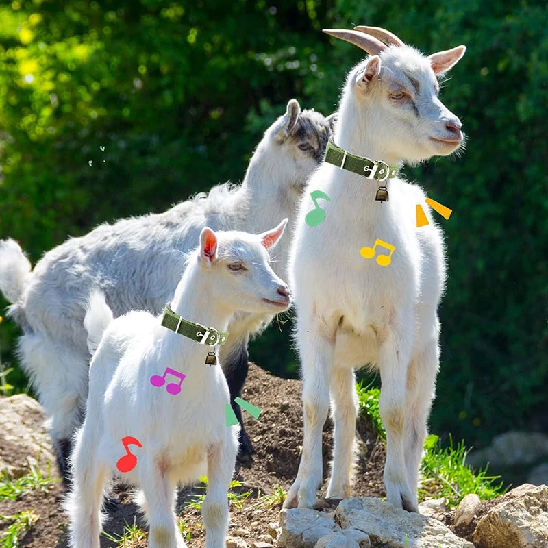 3 Pack Goat Collar with Bell Grazing Copper Bells and Adjustable Nylon Collar Set for Small Farm Animal Sheep Cow Pet Goat green