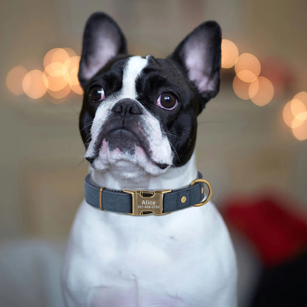 Personalized Dog Puppy ID Tag Nameplate Collar Durable Nylon Pet Dog Buckle Collars Free Engraving Name For Pit Bull Bulldog Pug