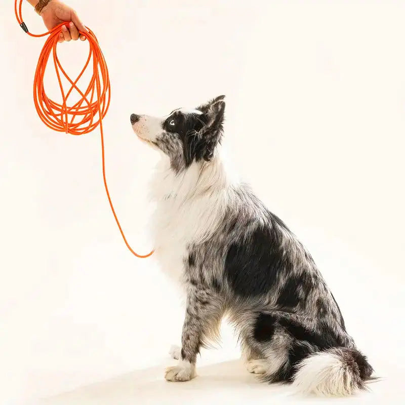 Dog Leash Long PVC Leashes Durable Training Recall Long Lead 1.5M 3M 6M 9M Great for Training Beach Yard Play