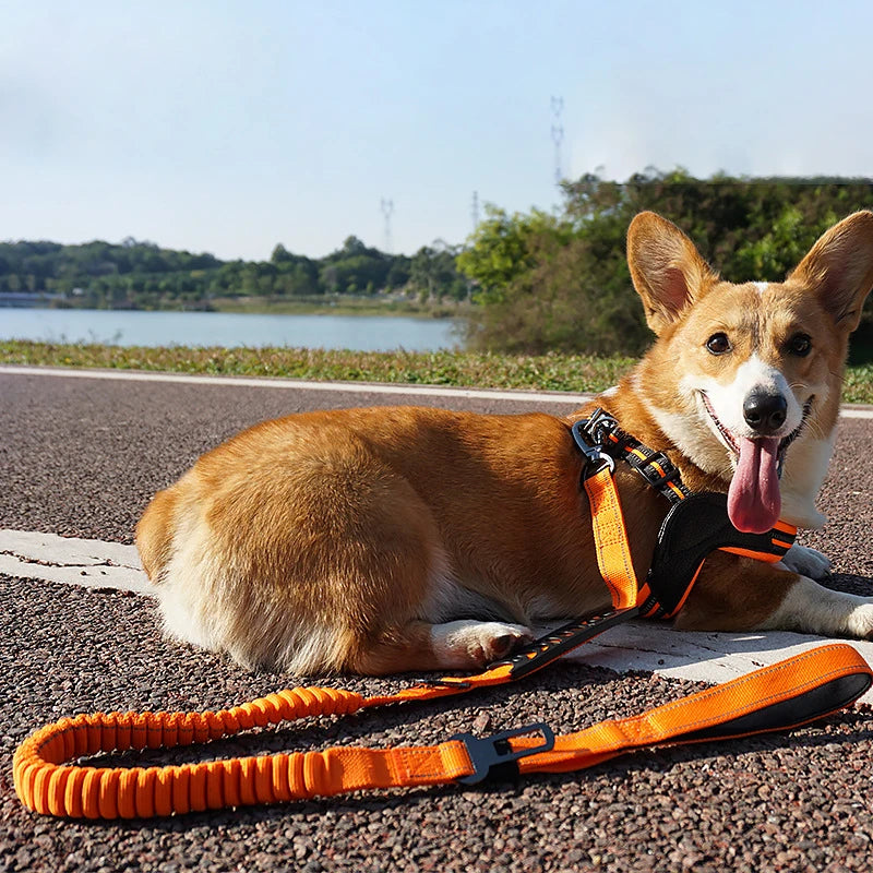 Nylon reflective multi-functional retractable dog leash Reflective Shock Absorbing Pet Leashes with Car Seatbelt for Large Dogs