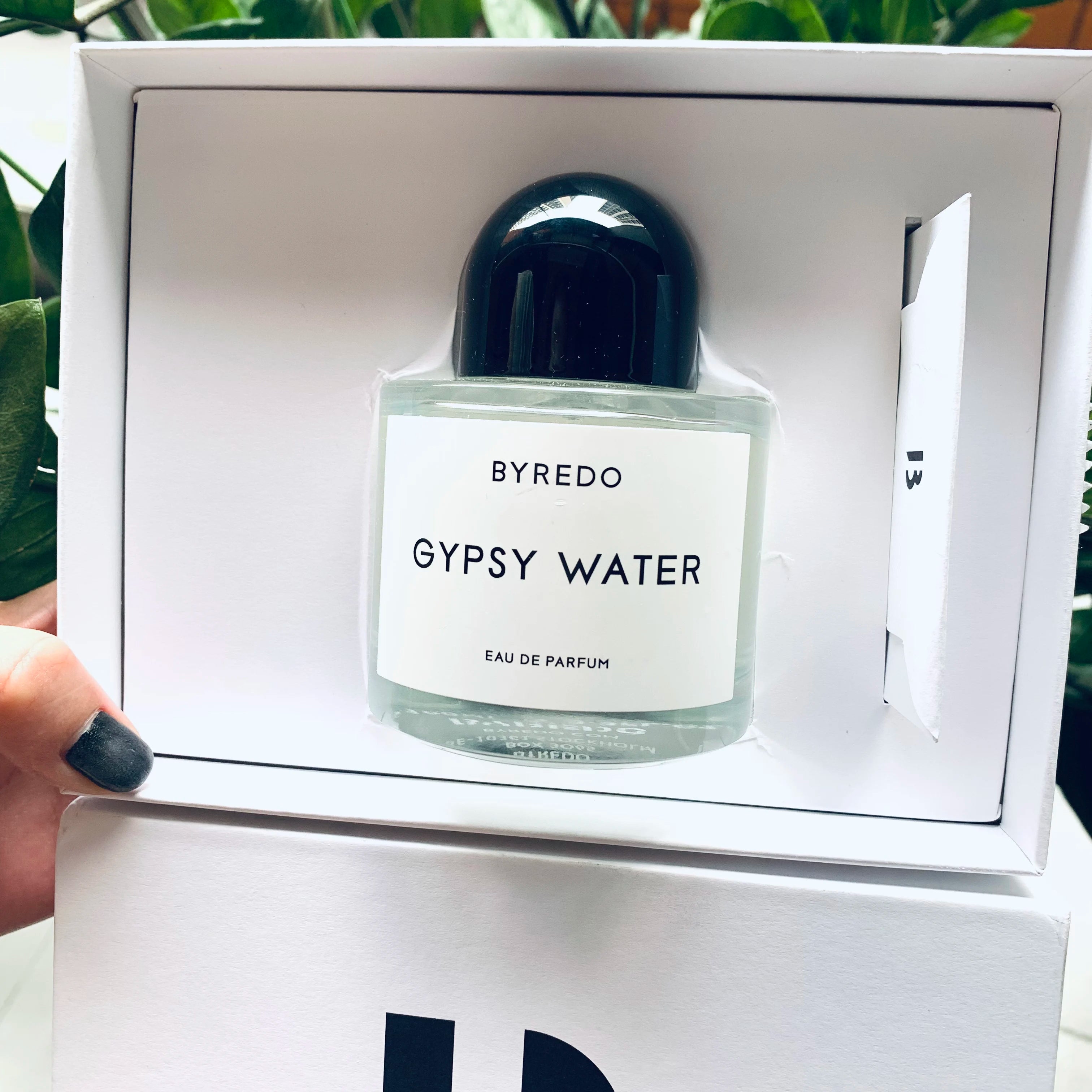 Byred.o Gyps.y Water By Byred.o For Unisex - 3.3 Oz EDP Spray