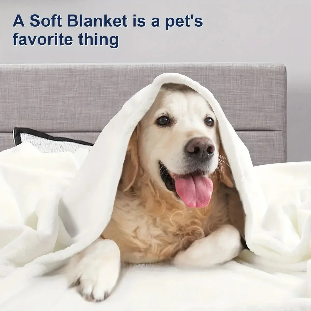 1 Piece Solid Color Flannel Blanket Soft Warm Throw Blankets for Couch Sofa Office Bed Camping Travel Multi-purpose Gift Blanket