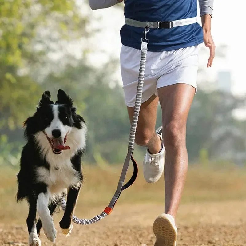 Dog Walking Belt, Traction Rope, Reflective, Explosion-proof, and Elastic At Night Running and Walking Dogs with Ease Dog Leash