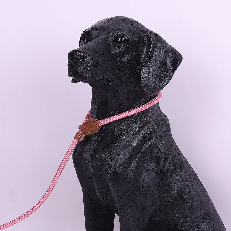 P Chain Dog Training Leash Collar Anti-Choking Easy Ctrl 150cm Nylon Rope for Large Medium Small Dog Walking Pet Accessories