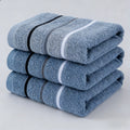 A two-pack of soft, quick-drying blue gym towels featuring a classic three-stripe design for fitness and travel.