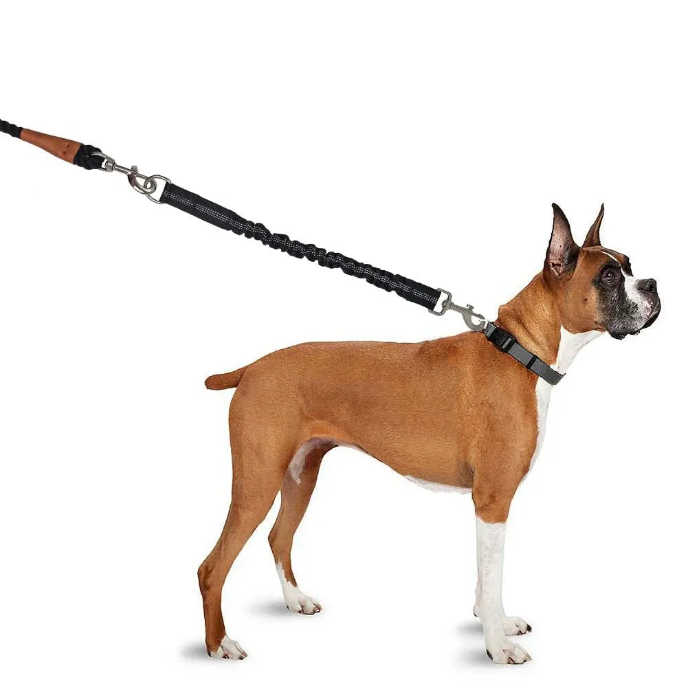 Dog Lead Shock Absorber Medium Dogs Pet Elastic Rope Indestructible Toys Walking Leads Extension Bungee Black Training Leash
