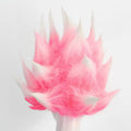 Pink And White Anime Style Cosplay Wig Fluffy Curly Hair Synthetic Party Wear Wig for Women