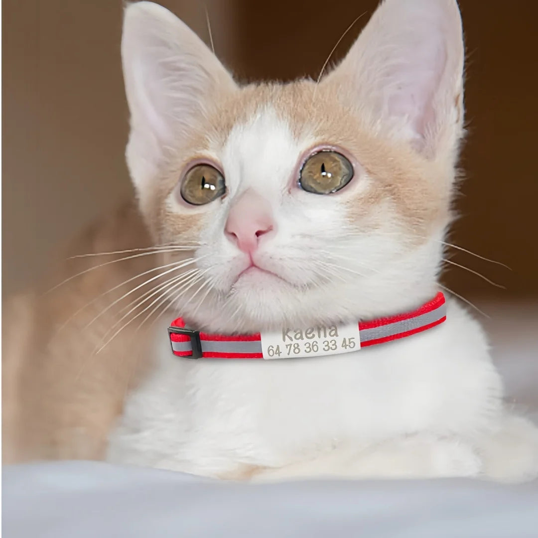 13 Colors Custom Engraved Reflective Cat Collar with Safety Buckle & Bell, Adjustable Personalized Pet Collar for Small Cats
