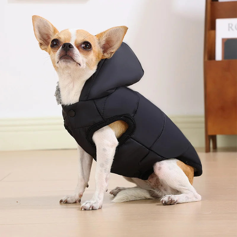 New Pet Dog Clothes Jacket Autumn And Winter Dog Jacket Jacket Thickened Warm Jacket Pet Thick Cozy Dachshund Parka Costume