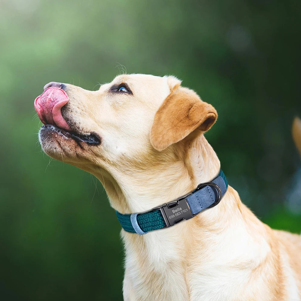 Personalized Nylon Dog Collar Free Engraving Dogs ID Collars With Name Buckle Metal Nameplate for Small Medium Large
