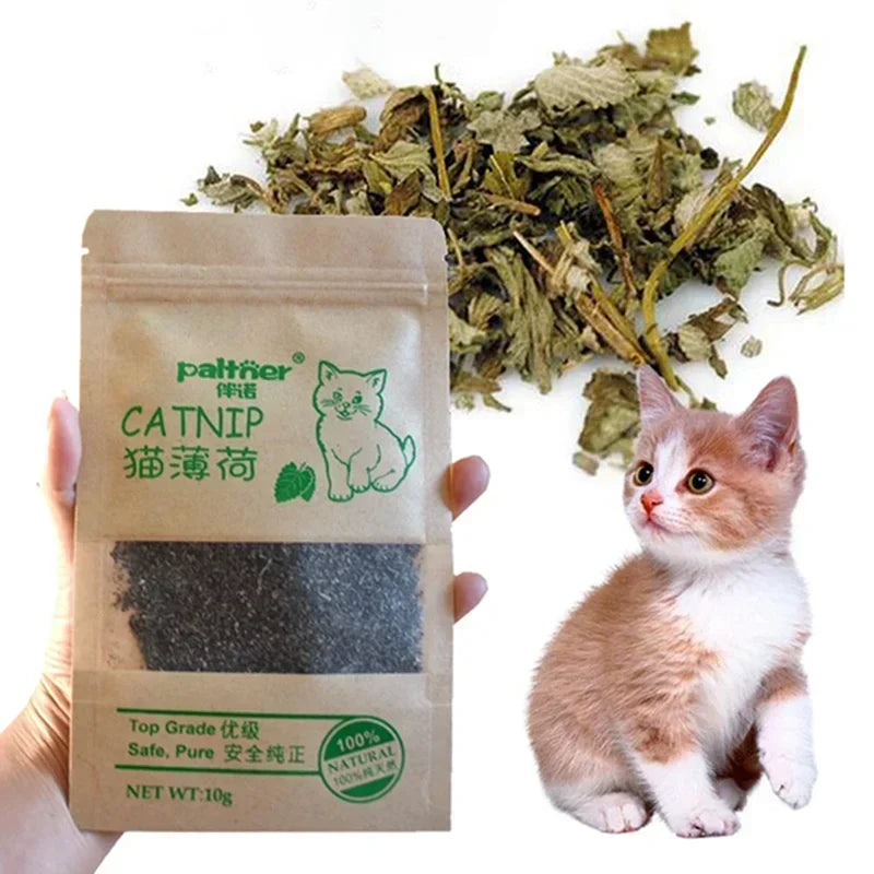 Natural Premium Catnip Cattle Grass Interactive Cat Non-toxic 10g Menthol Flavor Funny Cat Supplies Keep Pet Health Cat Toy