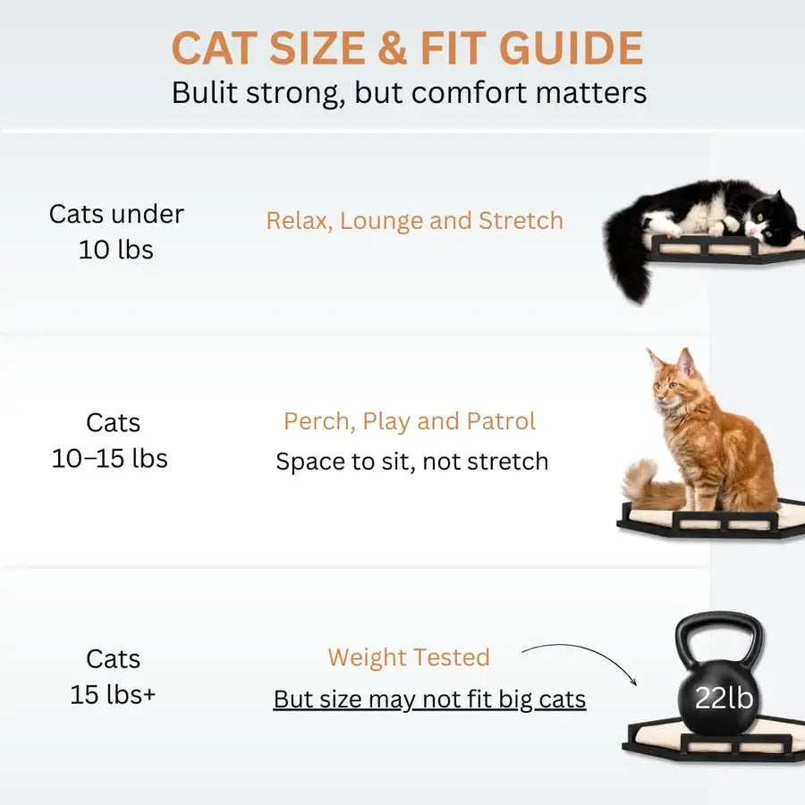 Cat Wall Shelves Modern and Durable 3 Step Cat Furniture for Wall Stylish Birch Floating Shelf for Cats up to 15lbs Wooden Corne