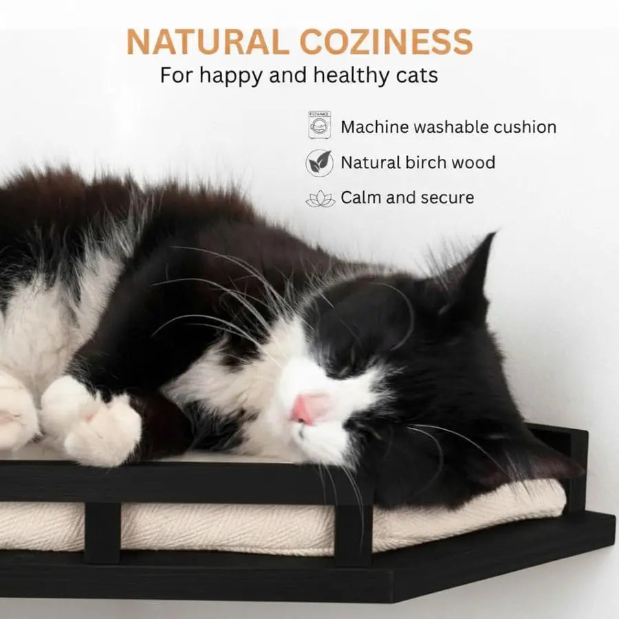 Cat Wall Shelves Modern and Durable 3 Step Cat Furniture for Wall Stylish Birch Floating Shelf for Cats up to 15lbs Wooden Corne