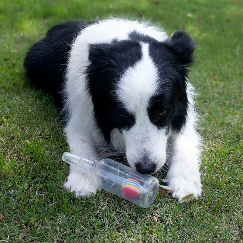 Pet Dog Chewing Toy Beer Bottle With Tennis Ball Dog Toy Squeak Pet Toy TPR Bite-resistance Dogs Funny Toy Pet Supplies