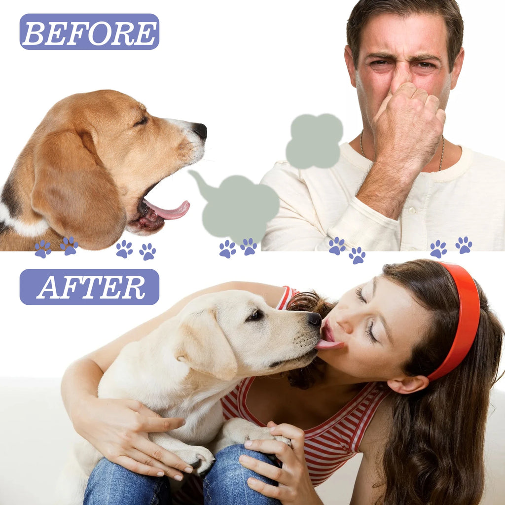 Pet Dental Spray for Dogs and Cats Freshen Breath Remove Plaque Tartar Oral Care Water Additive Easy Use 30ml No Brush Needed