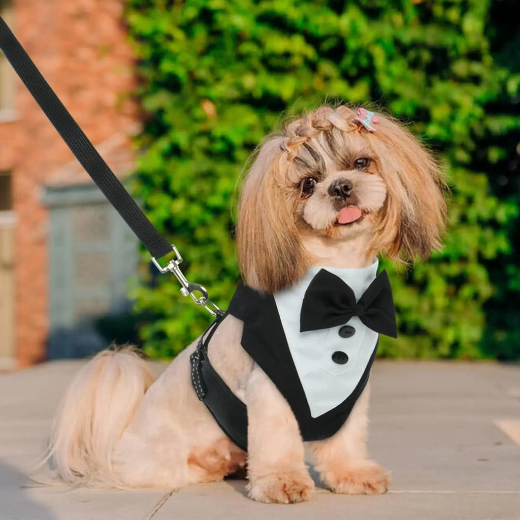 Dog Tuxedo Harness Engagement Birthday Valentines Wedding Costume Adjustable Bow Tie Pet Vest Harness for Small Medium Dogs