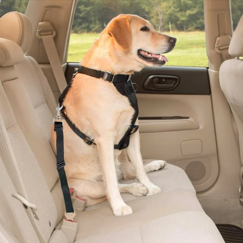 Dog Car Seat Belt Safety Protector Travel Pets Accessories Dog Leash Collar Breakaway Solid Car Harness
